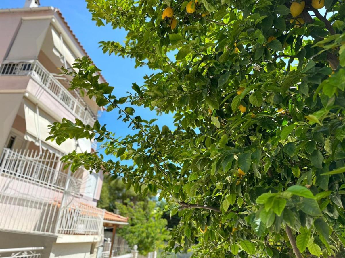 ארטמידה La Vita Apartments-Near Airport & Sea מראה חיצוני תמונה