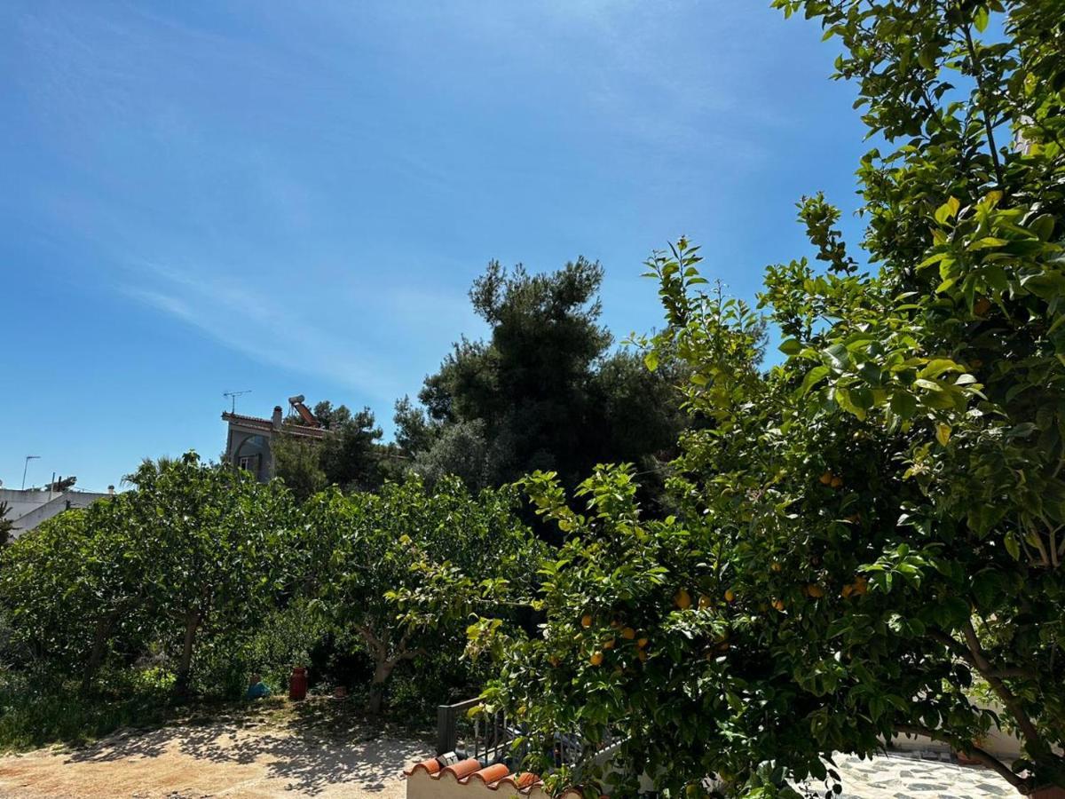 ארטמידה La Vita Apartments-Near Airport & Sea מראה חיצוני תמונה